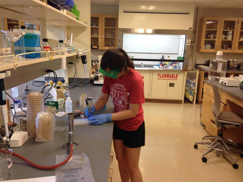 Student 6 working in the lab