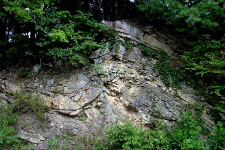 Fault propagation fold on the east limb of the Wills Mountain anticline