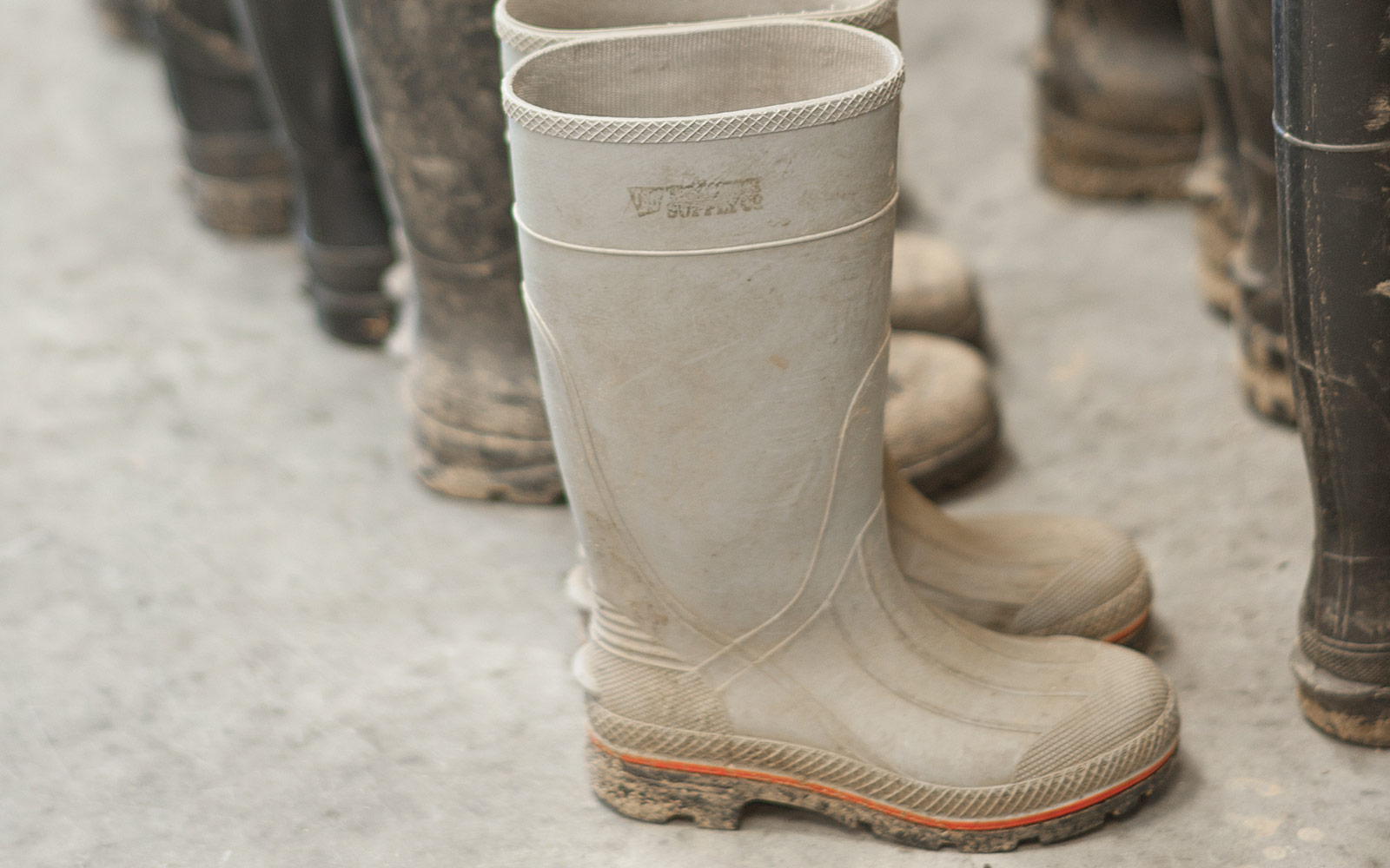 So many schools have a particular thing. For instance, you'll go to a school and everyone is wearing Ugg boots. At Denison, everyone was wearing these rubber boots. They were even wearing them when it wasn't raining.