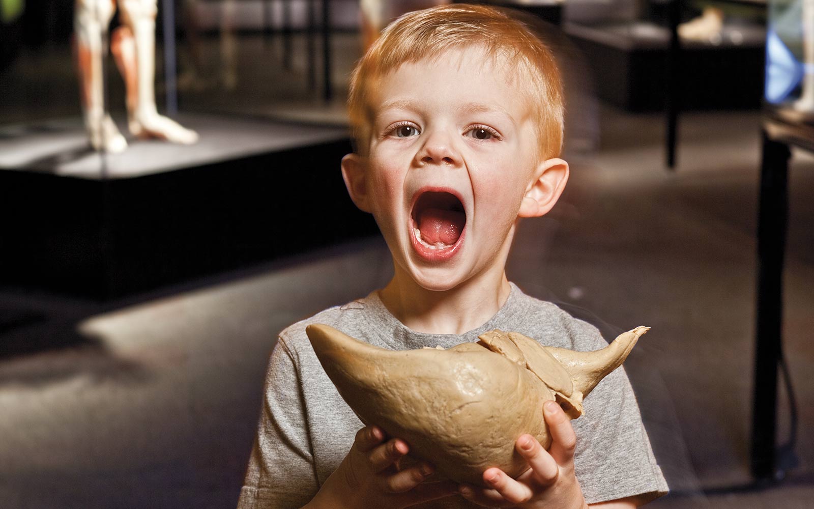 A kid can learn a lot about the human body at the Kentucky Science Center these days. The BODY WORLDS exhibit has a few organs that have been through the plastination process and are now available for "hands-on" learning.