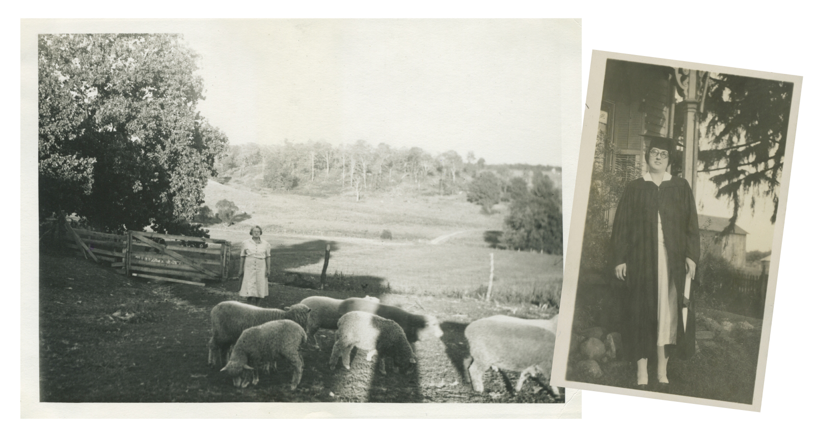Lessons on the Land: Anna Hobart looks after the sheep on the farm, just a few of the animals that called the place home (left). Dorothy Hobart on her Denison graduation day in 1925 (right).