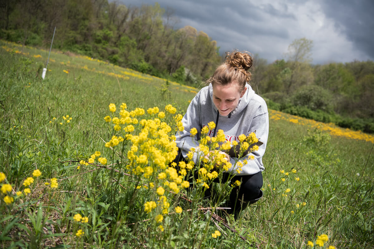Student researcher investigating wildflowers at the Bio Reserve