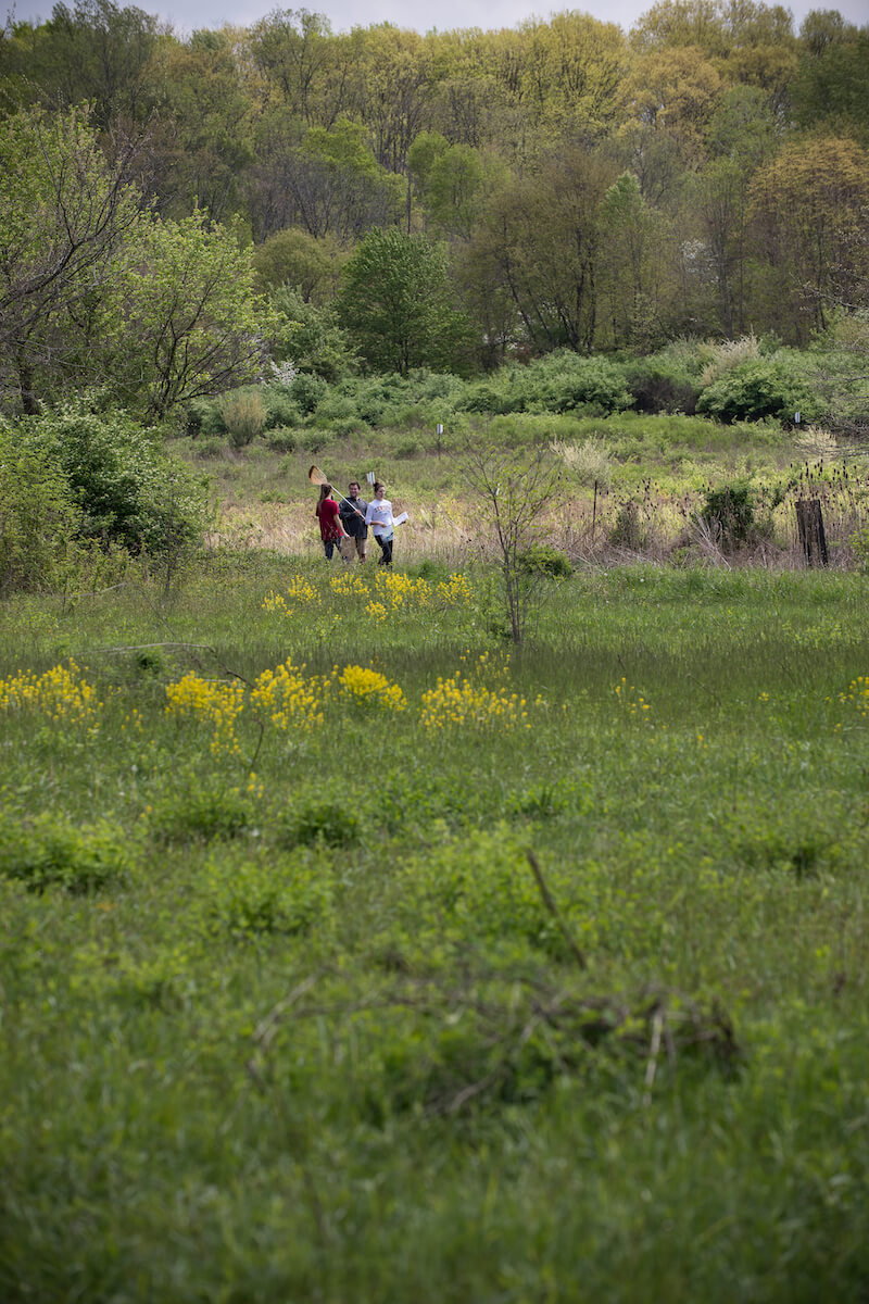 Student researchers walking through fields in the Bio Reserve