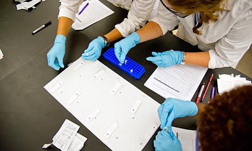 Students work in a science laboratory