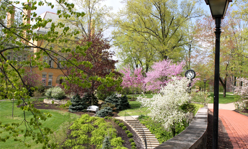 a photo of chapel walk in springtime