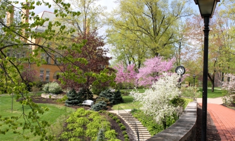 Campus during spring