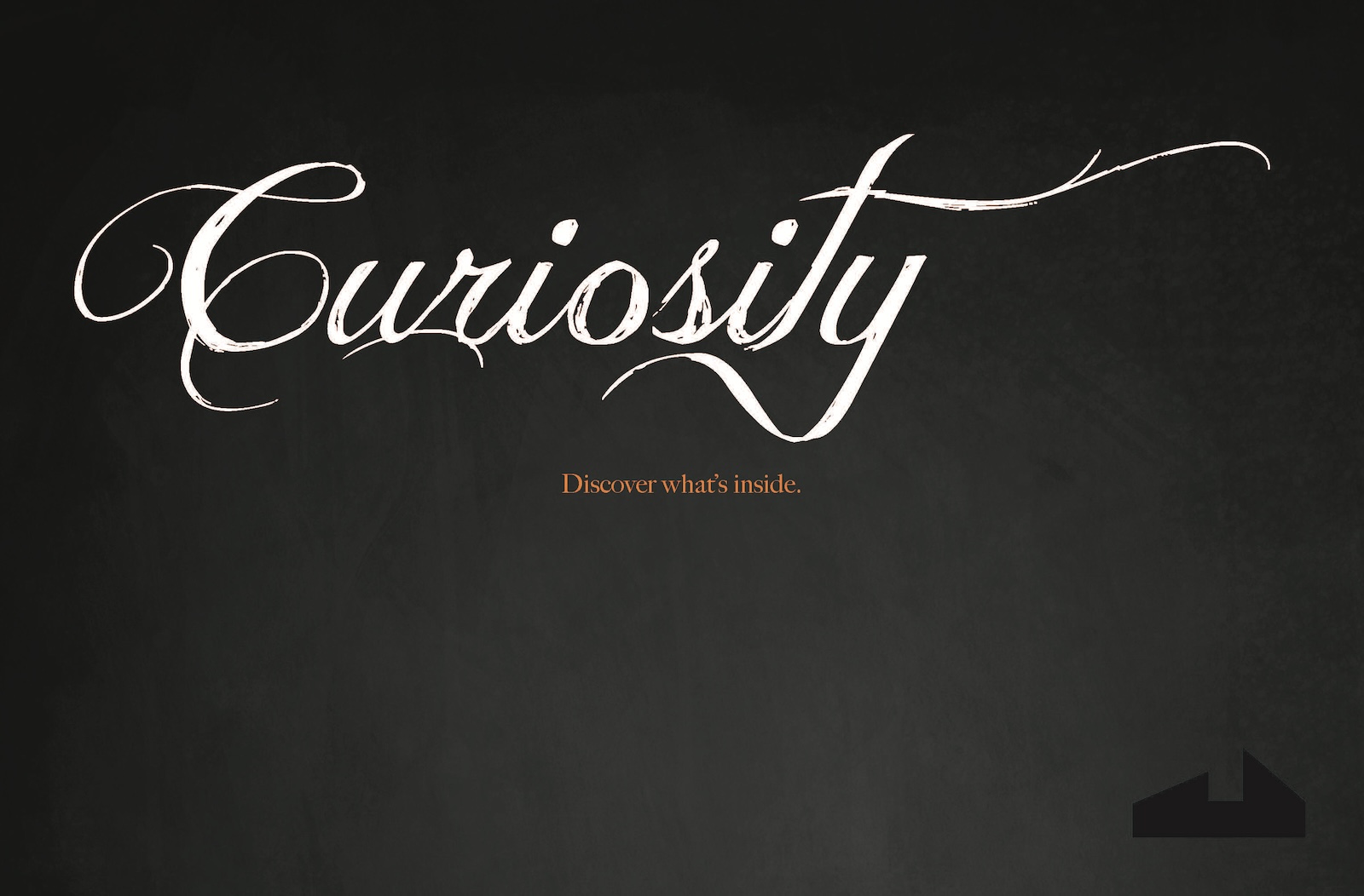 Graphic for Curiosity exhibition