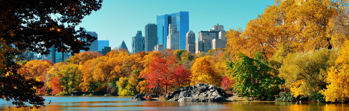 Welcome to the City: New York | Fri, 24 Oct 2025 17:30:00 EDT