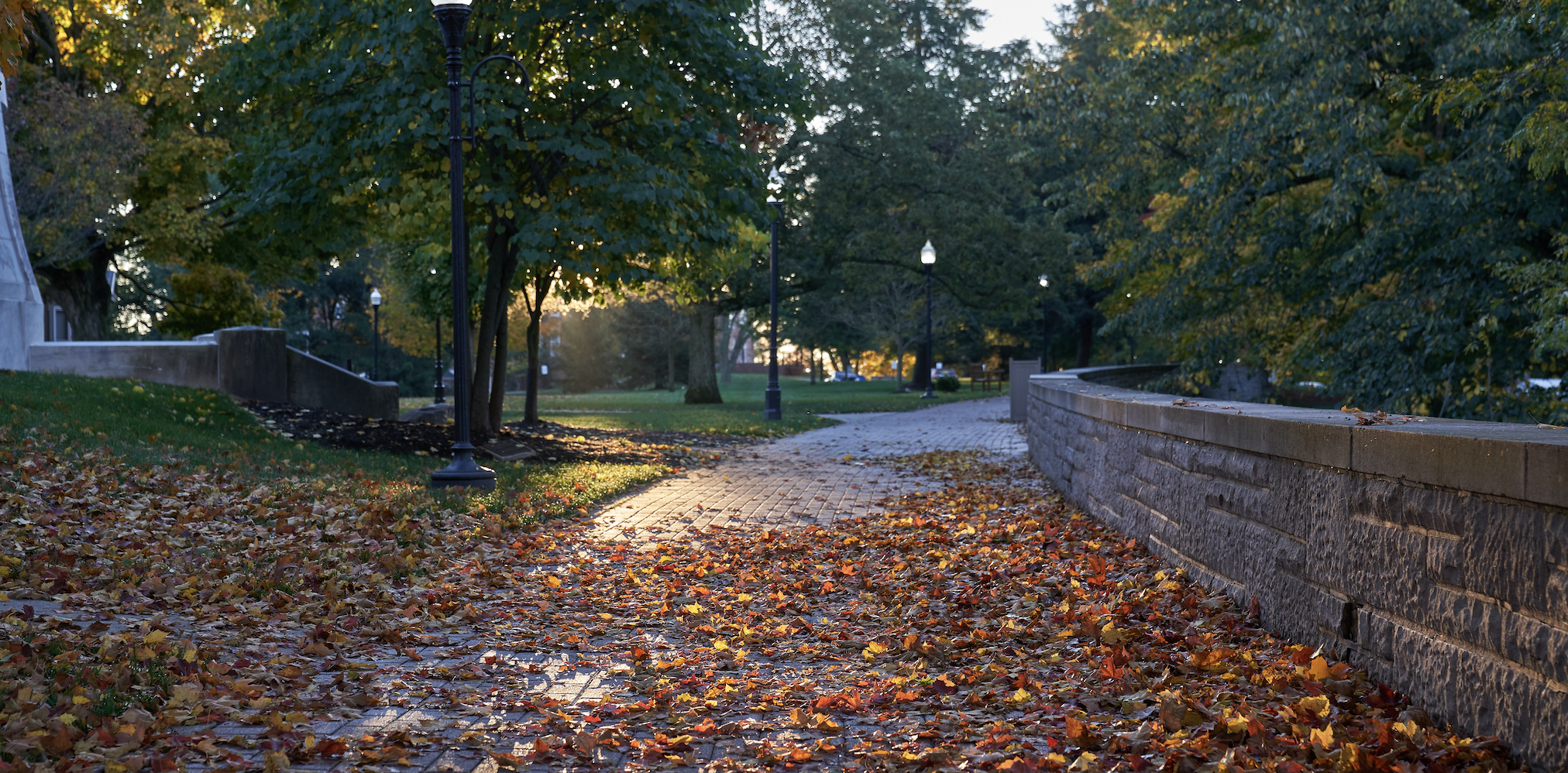 Young Alumni Impact Awards | Fri, 03 Oct 2025 12:00:00 EDT