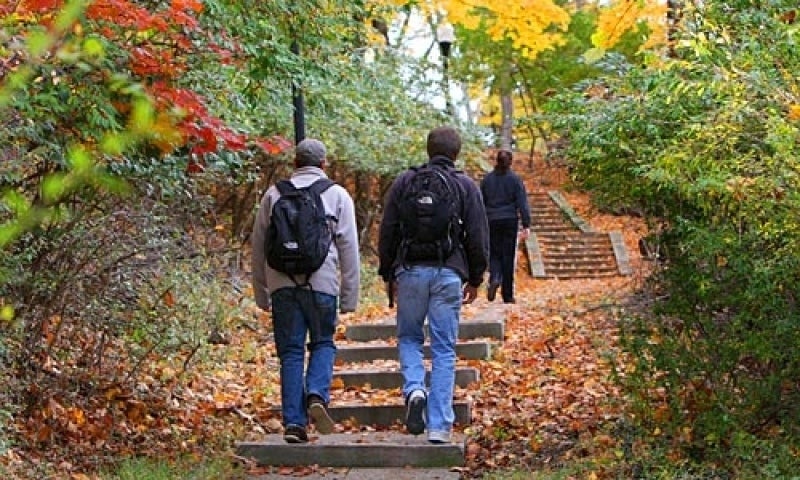Students walking in the fall