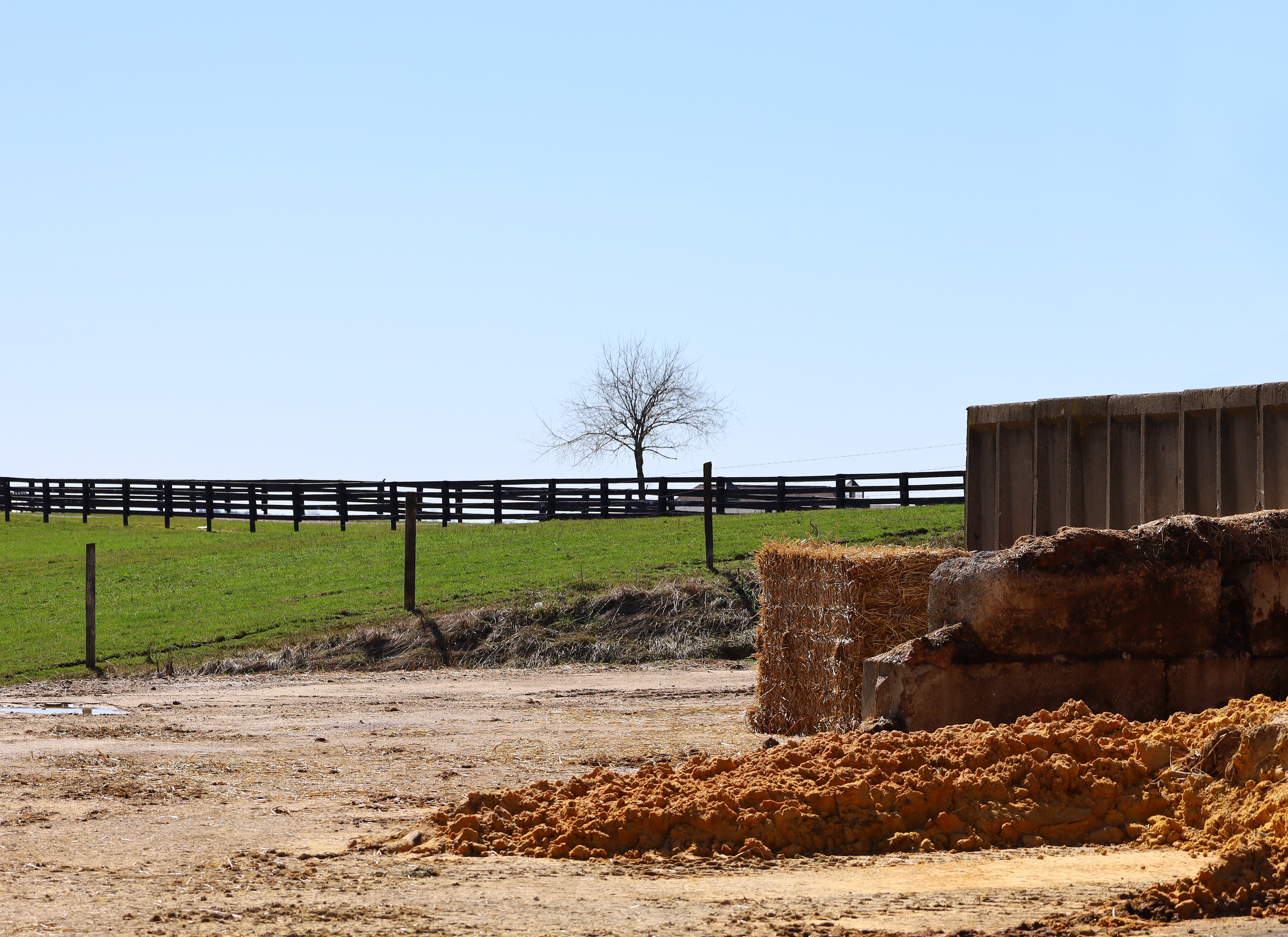 farm landscape
