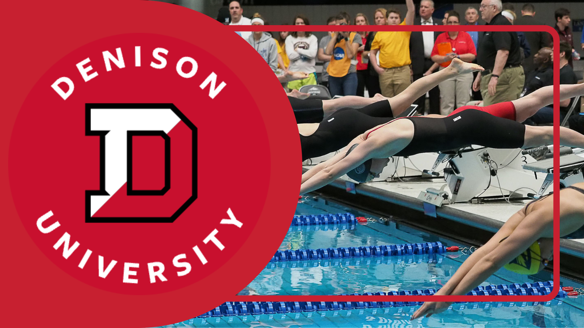 Big Red Swimming & Diving NCAA Championship Reception | Friday, March 20, 2026 at 8:00 PM EST