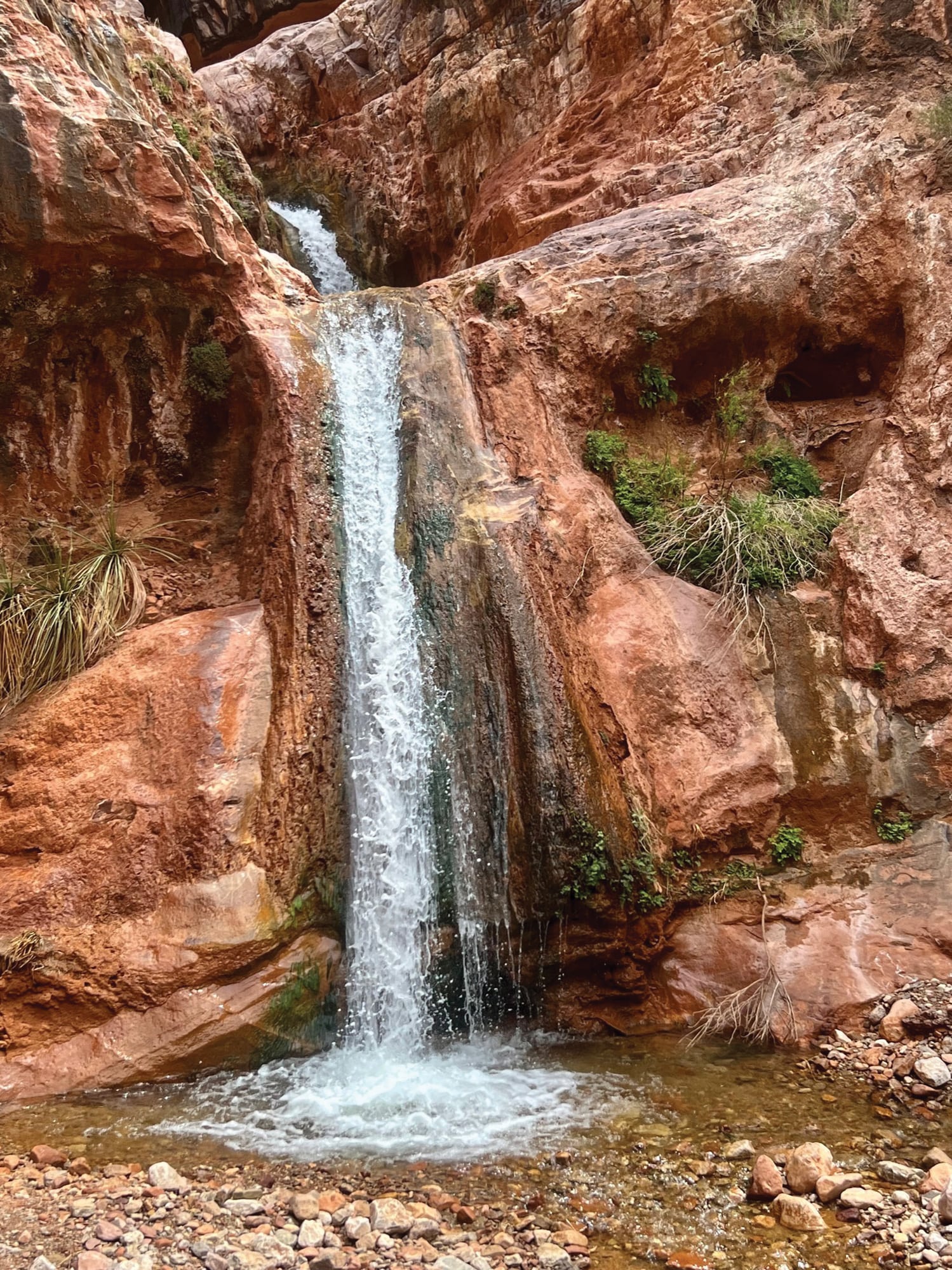 Waterfall in the Grand Canyon