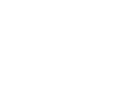 What We Can Be: The Denison Campaign logo