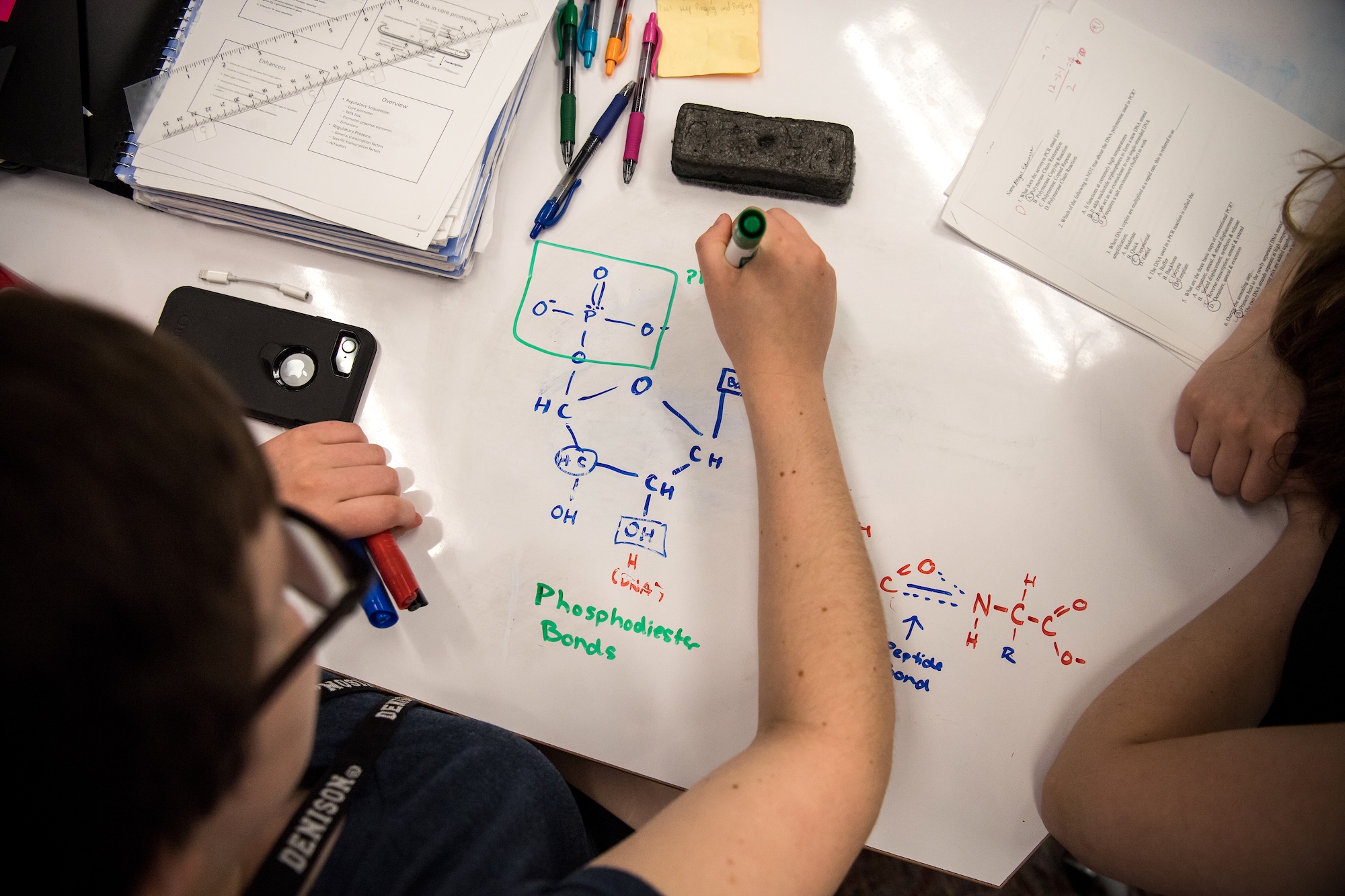 Two people work at a desk, one drawing a photosynthesis diagram with colored markers.