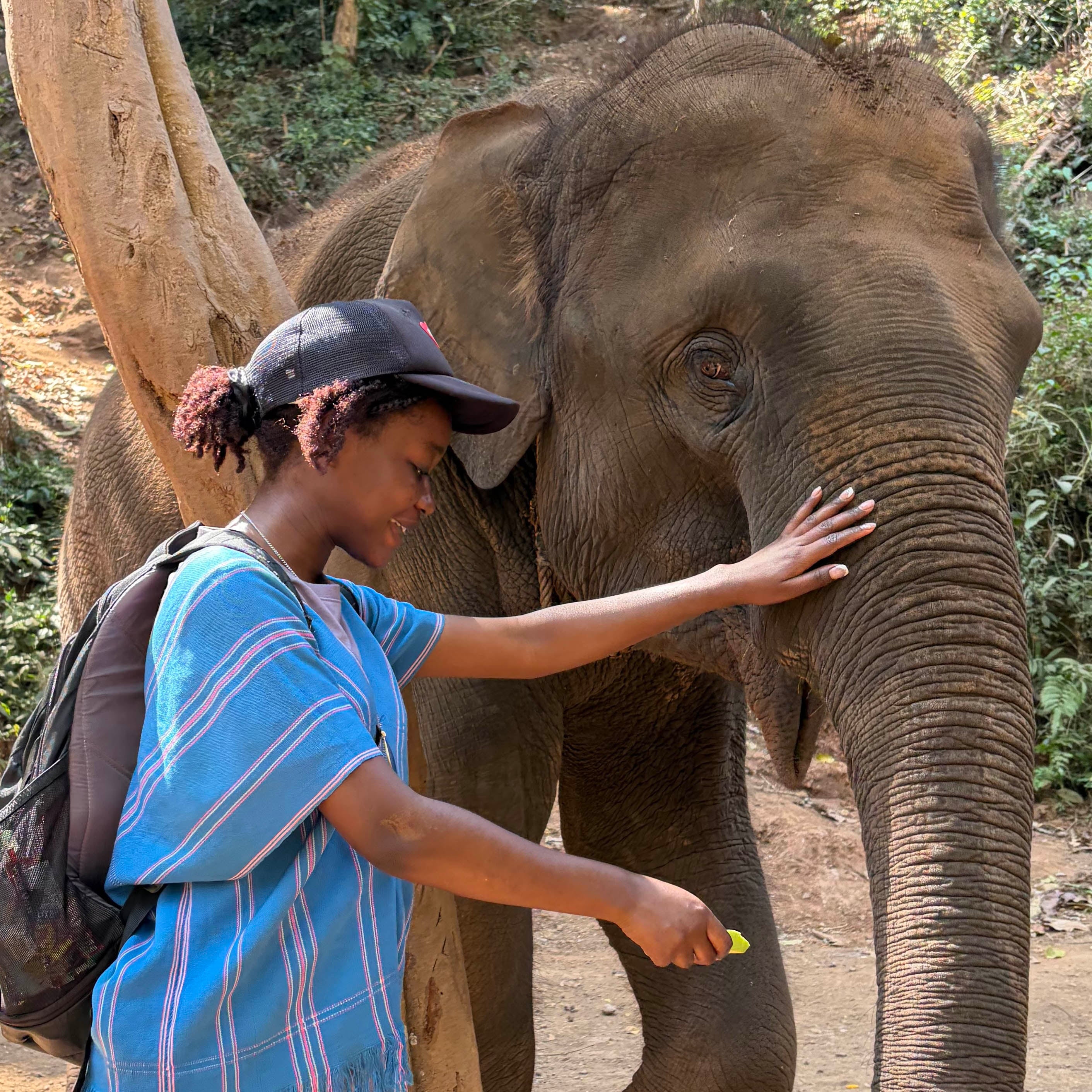 A women feeding an elephant.