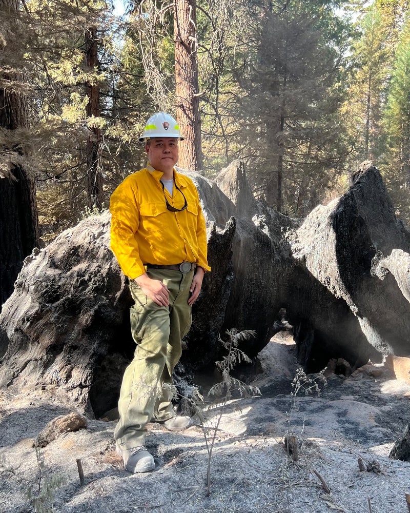 A person wearing a yellow shirt, green pants, and a white hard hat stands in front of large black rocks and tall trees in a forested area.