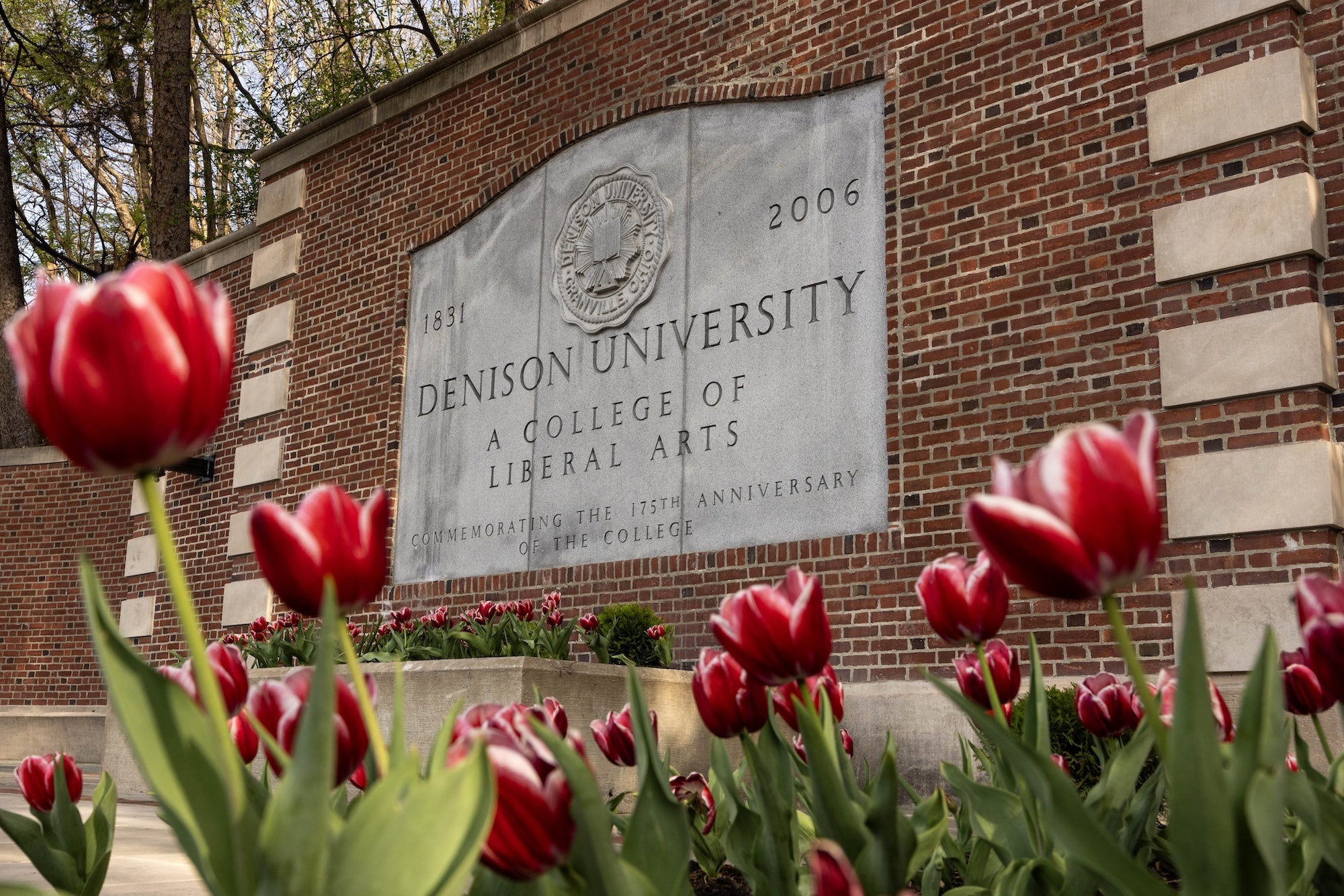 Denison's front entrance sign surrounded by freshly bloomed tuplips