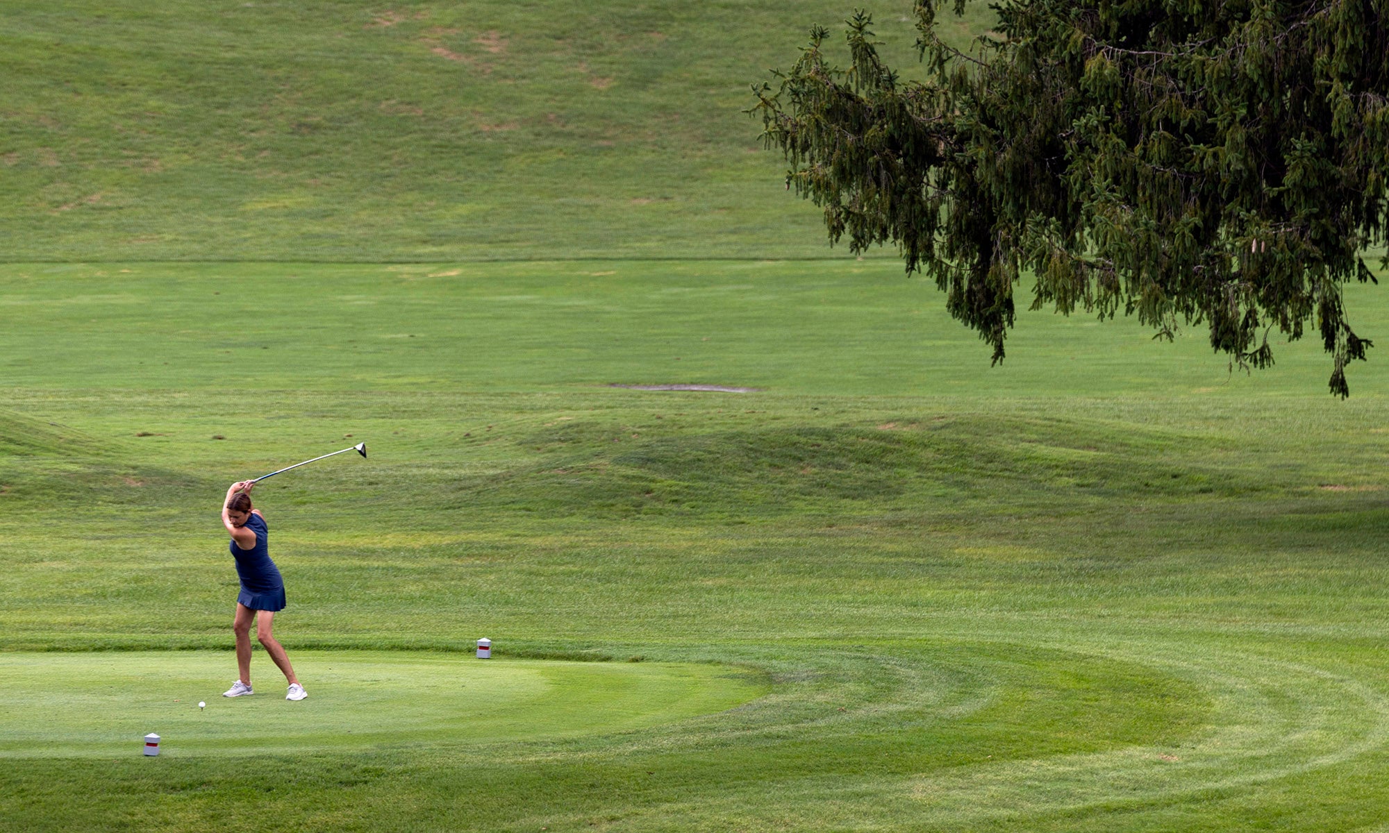 A person in a blue outfit swings a golf club on a green golf course, with a large tree partially visible in the foreground.
