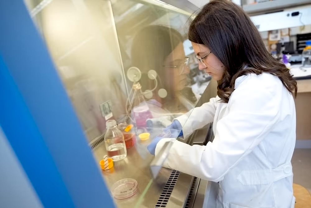 A person wearing a white lab coat and gloves works with samples in a laboratory fume hood