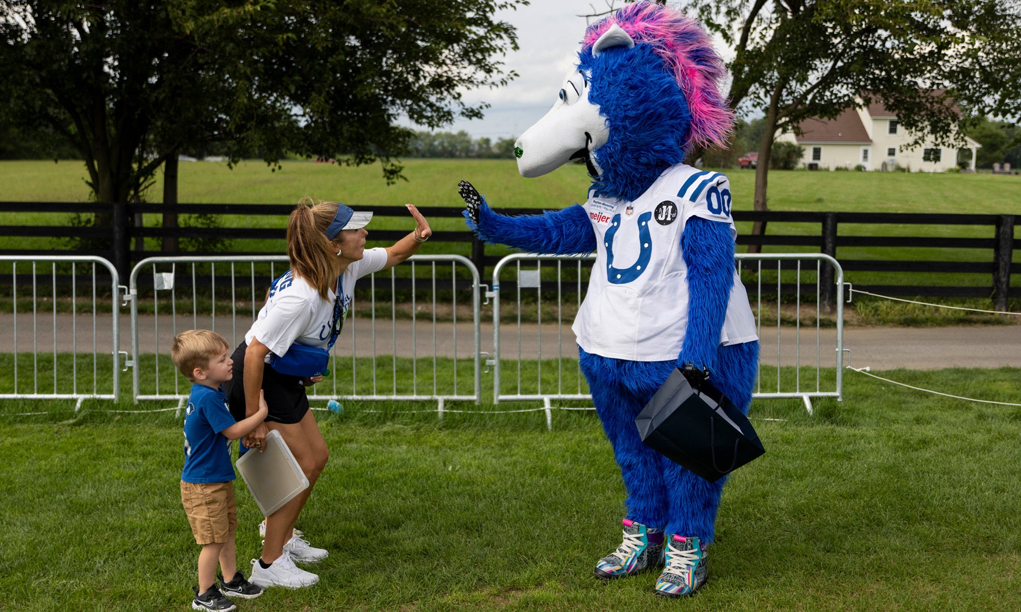 A person in a blue horse mascot costume high-fives a woman while a child stands nearby on grass with a fence and trees in the background.