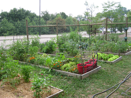 Denison Community Garden