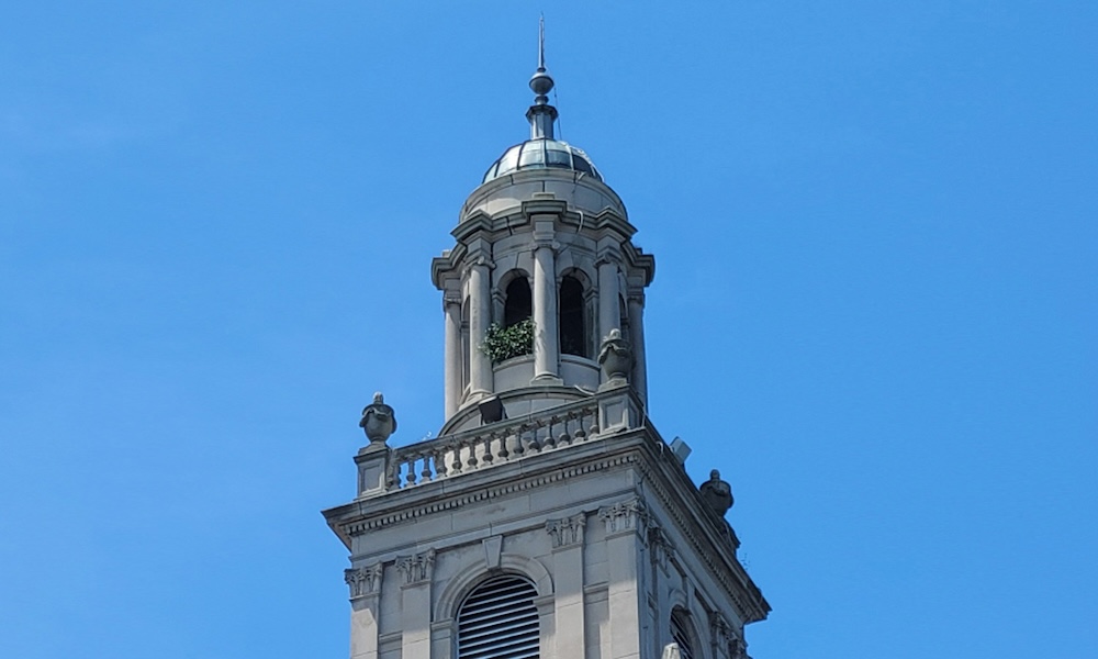 Shrub growing in Swasey Chapel's bell tower