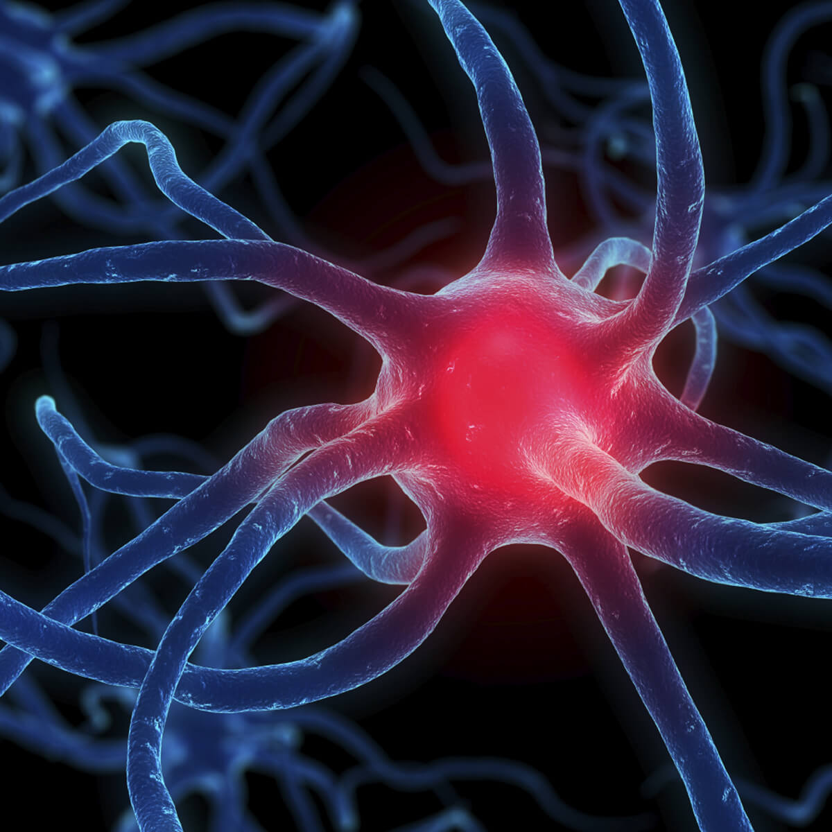 Neuroscience Denison University