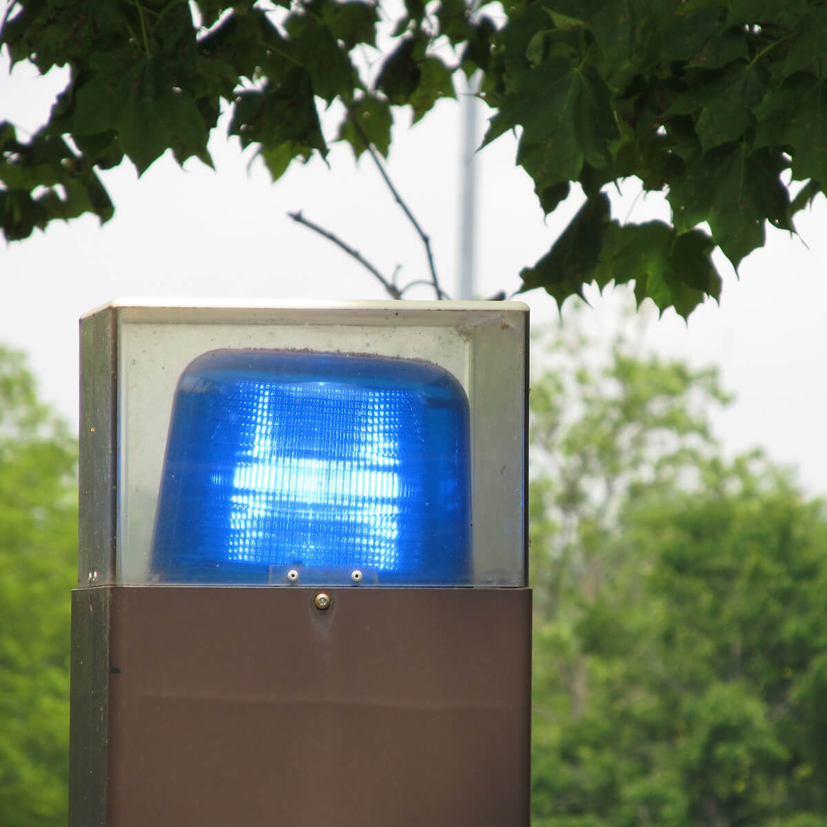 Blue light at the top of Safety phones located around campus.
