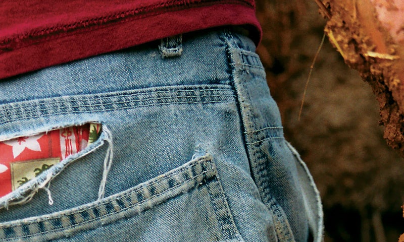 The Living Experiment - Spring 2006