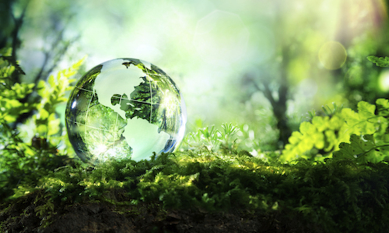 Ongoing-sustainability