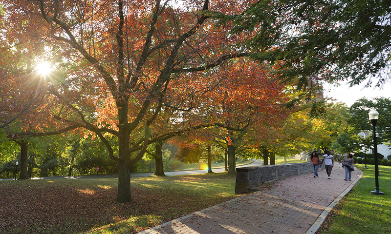 Chapel Walk