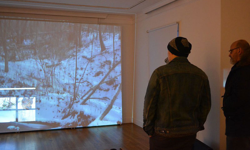 Two people looking at projection of winter scene