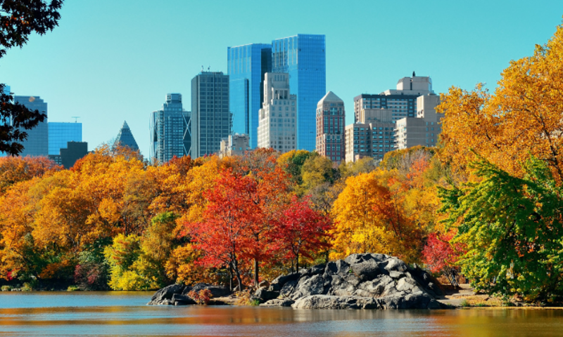 Welcome to the City: New York | Fri, 24 Oct 2025 17:30:00 EDT