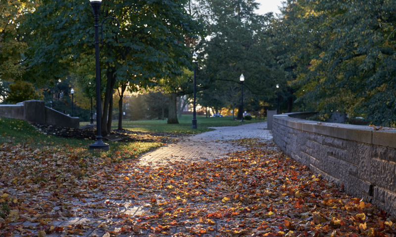 Young Alumni Impact Awards | Fri, 03 Oct 2025 12:00:00 EDT