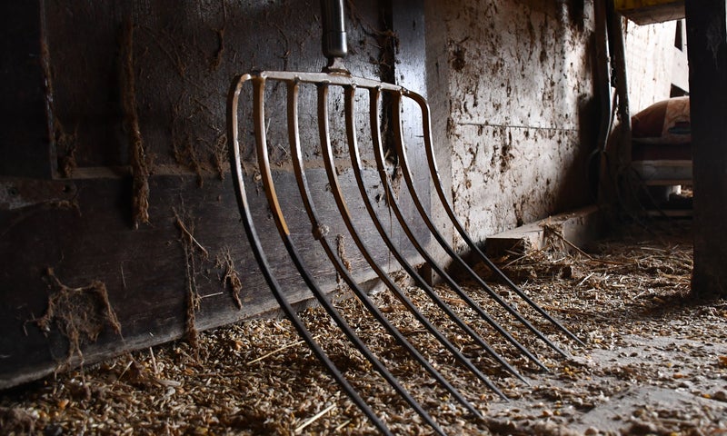 pitchfork in barn