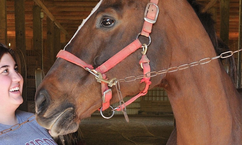 UnCommon Ground - A Horse With Three Lives