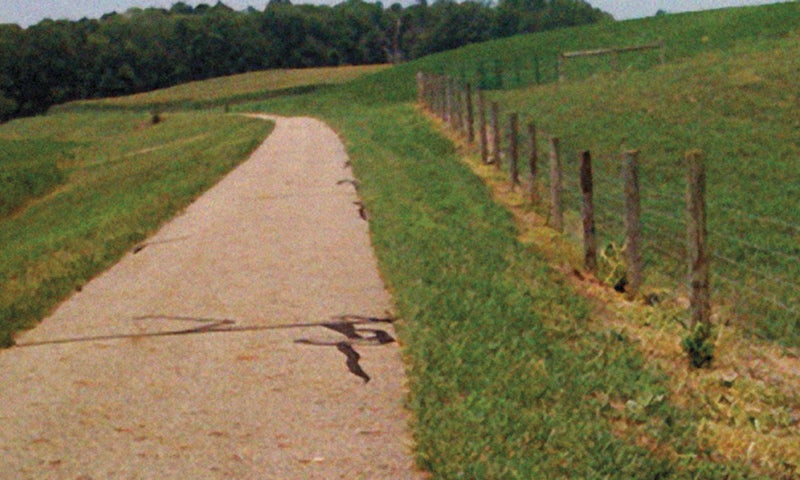 Talk of the Walk - Fall 2012