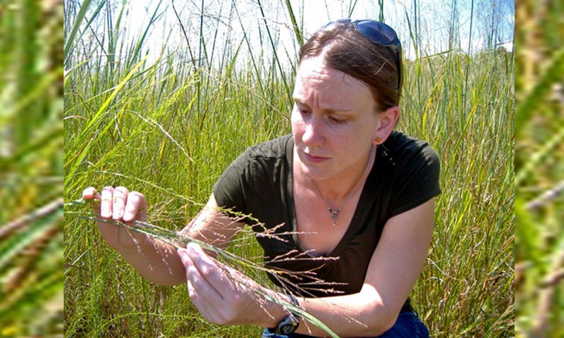 UnCommon Ground - Could Grass Save The World?