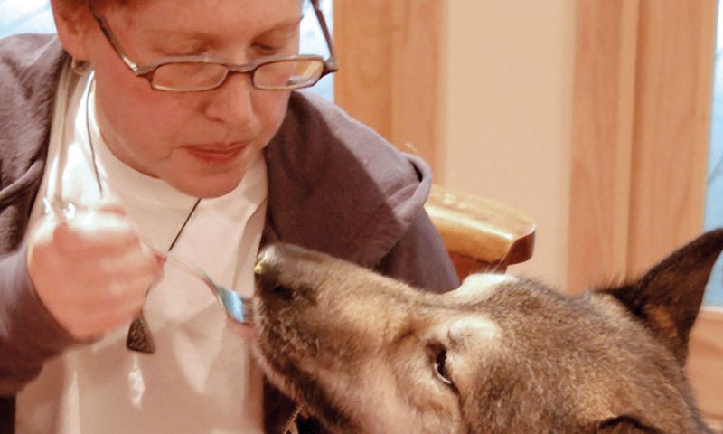 Talk of the Walk - Spring 2012