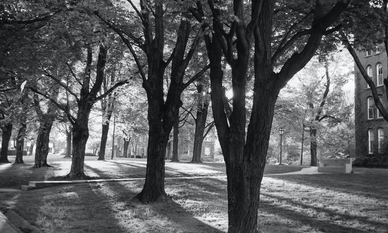 Black and white photo of campus