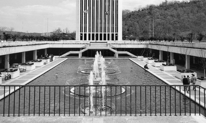 Tales From the Bottom