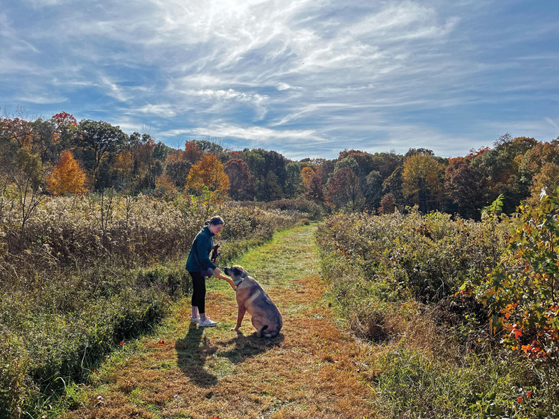 Megan Puritz ’17 with her dog, Atticus, at Blendon Woods Metro Park