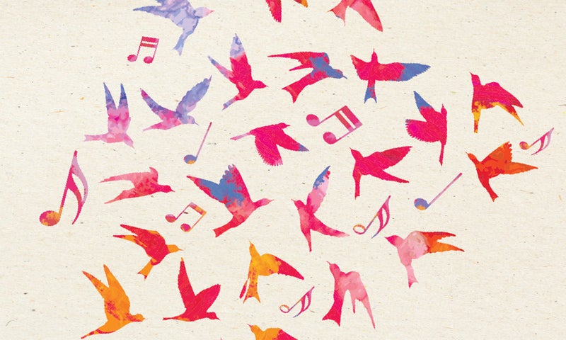 Image of music notes and birds