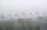 hurricane irma wind in miami florida