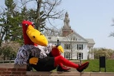 Buzzy the Buzzard