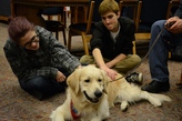 students with therapy dog