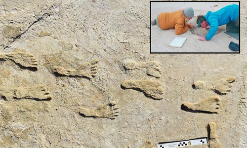 Image of footprints fossilized with inset photo of speakers Kathleen Springer and Jeff Pigati studying them.