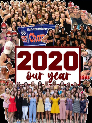 A collage of photos of the 2020 national swim team titled with '2020 our year' in the center