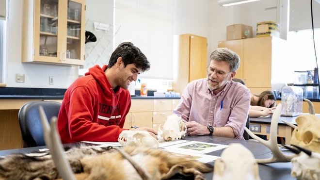 Student and professor observing skulls